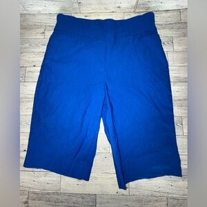 Kim Rogers Tummy Control Blue Women's Shorts size 6